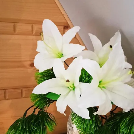 Gæstehus Apartament - Na Gorskim Szlaku Murzasichle